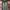 JINISO - HIGHWAIST ROK SLIT JEANS PANJANG photo 1