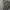 Dickies tactical cargo pants photo 5