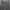 Dickies tactical cargo pants photo 4