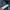 Gorpcore Cosplay Puffer jacket Pria green photo 5