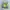 Gorpcore Goth Capes & poncho Pria green photo 2