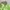 Gorpcore Goth Capes & poncho Pria green photo 8