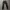 Fieldcore biker cargo pants photo 5