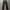 Fieldcore Biker Cargo Pants