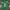 Jersey NFL Eg