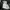 Carhartt Canvas Mesh-Back Outlast Patch Cap photo 5
