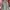 JACKET JEANS OVERSIZE photo 2