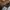 Carhartt WIP Essentials Bag Small - Deep Brown photo 5