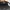 Topi NHL 2019 Stanley Cup Champions St. Louis Blues photo 6