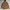 Carhartt Midweight Logo Sleeve Graphic Hoodie - Brown photo 1