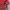 Ellesse Vintage Streetwear Windbreaker Pria red photo 7