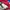 Ellesse Vintage Streetwear Windbreaker Pria blue red photo 8