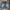 ~ Jorts carpenter double kne   •good condition as per photo  photo 3