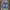 ~ Jorts carpenter double kne   •good condition as per photo  photo 1