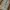 Baggy Balloon Doublee kne photo 5