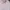 Domyos Decathlon - Tracksuit Jacket Kids 8-9 Years photo 4