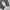 LONGPANTS DICKIES 1939RMS photo 4