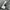 LONGPANTS DICKIES 1939RMS photo 7