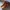 Timberland boots photo 2