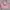 Kate Spade SLH Pink Petal photo 4