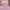 Kate Spade SLH Pink Petal photo 3