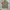 WORK SHIRT DICKIES HALF ZIP photo 2