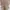 Vintage Y2K Bodycon dress Wanita tan photo 4