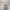 Msmo sage green flare maxi skirt photo 1