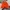 Bannie Hat Vans Orange