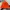 Bannie Hat Vans Orange