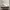 Nike AirMax 2090 Sail Cool Grey photo 1