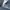 LONGPANTS DICKIES 1993SNB photo 7