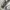FindOut Reverse Weave Grey Heave Weight Hoodie photo 3