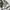 Ben Davis Streetwear Hoody Pria multicolor photo 6