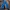 Celana jeans levis 511 photo 1