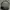 Shoulder Bag Coach Signature
