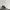 Timberland Premium Waterproof Boot Medium Grey Nubuch