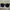 Glasses Versace