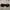 Glasses Versace photo 2