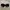 Glasses Miu Miu