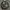 Watch Rolex photo 2