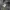 Musinsa Standard Vintage Y2K Hoody Pria gray photo 7