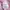 COMME des GARÇONS Vintage Streetwear Casual shirt Pria pink photo 2