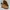 Timberland Icons Boots