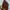 Timberland icons boots photo 5