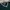 SPAO Harry Potter Slytherin Crewneck Knit Sweater 