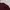 Zara Knit Sweater Women Maroon Red Burgundy 