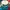 Topi Vintage Charlotte Hornets Double Grafity American Team