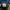 Asics Sportswear Sneakers Pria Navy