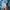 Jaket Under Armour Yokohama Marathon 2019 Original photo 4